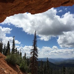 Meet your Posher, Carrie